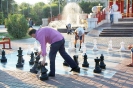 Шахматы в Элисте
